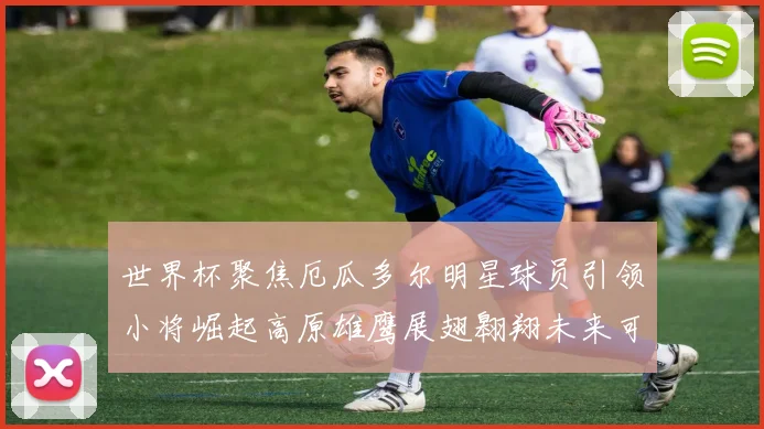 世界杯聚焦厄瓜多尔明星球员引领小将崛起高原雄鹰展翅翱翔未来可期